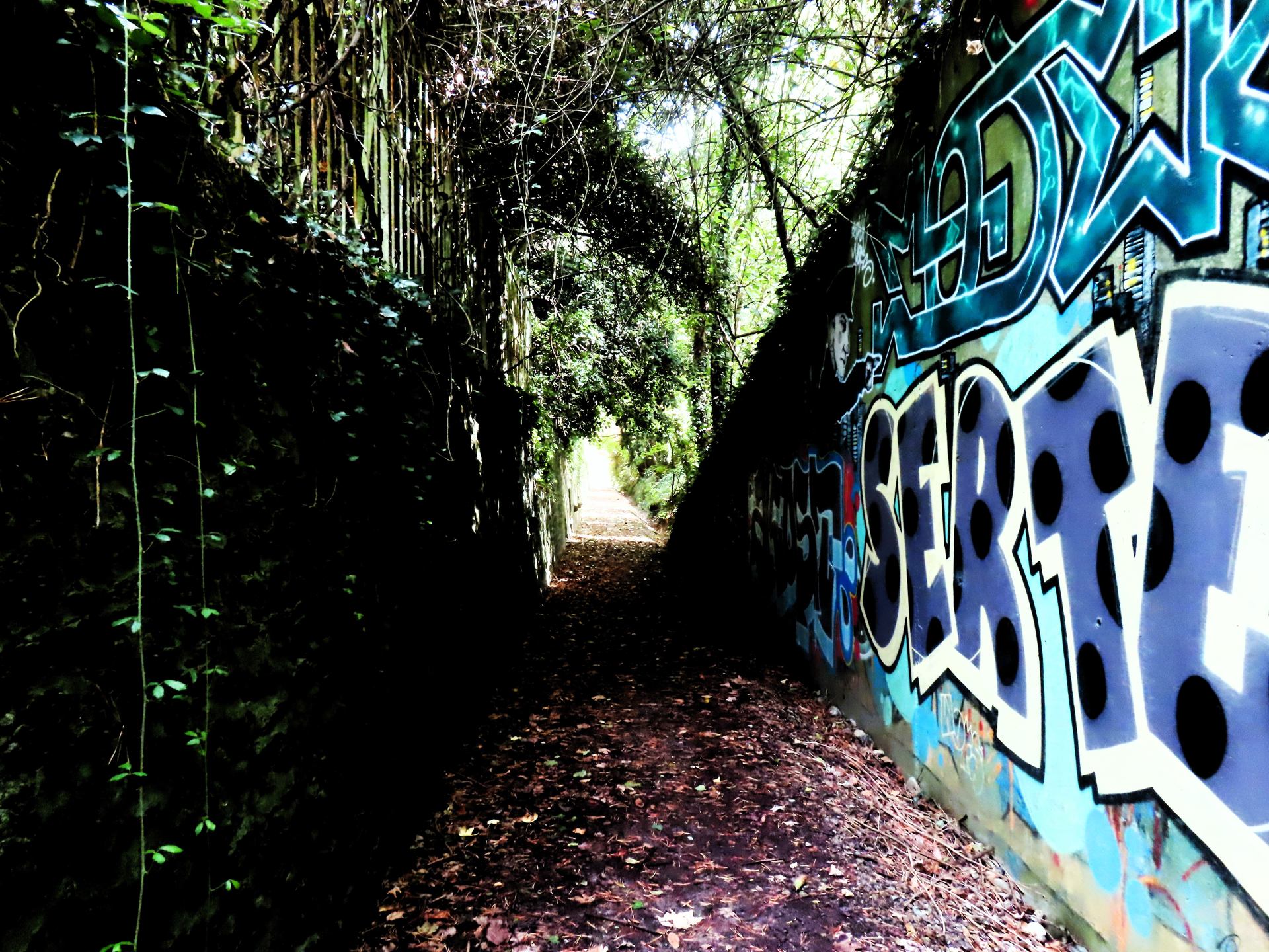 La lumière au bout du chemin ? ...