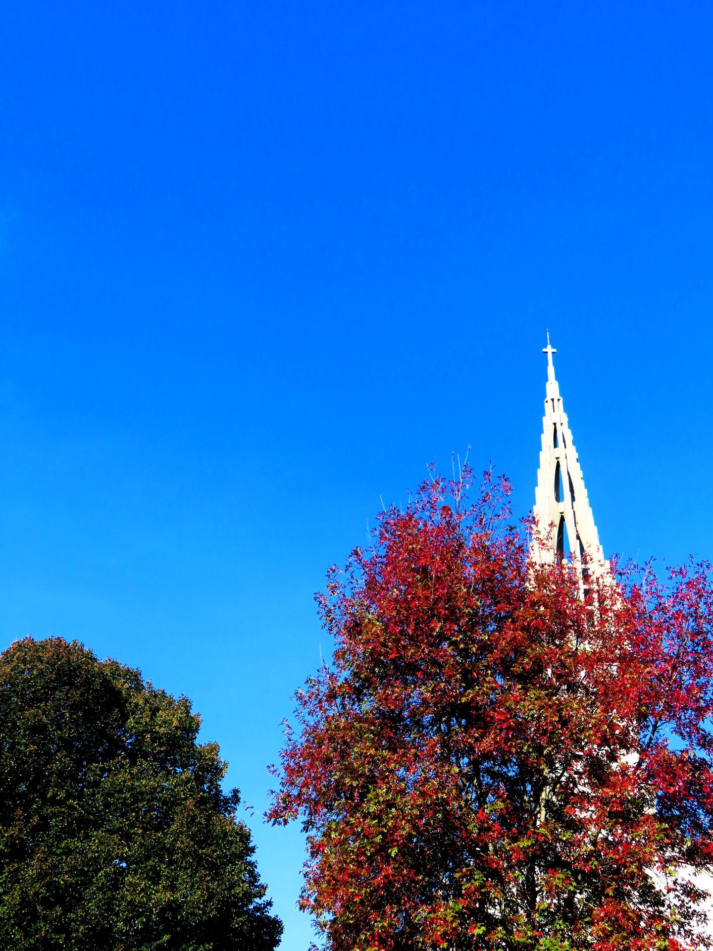 L'automne à Brest ...