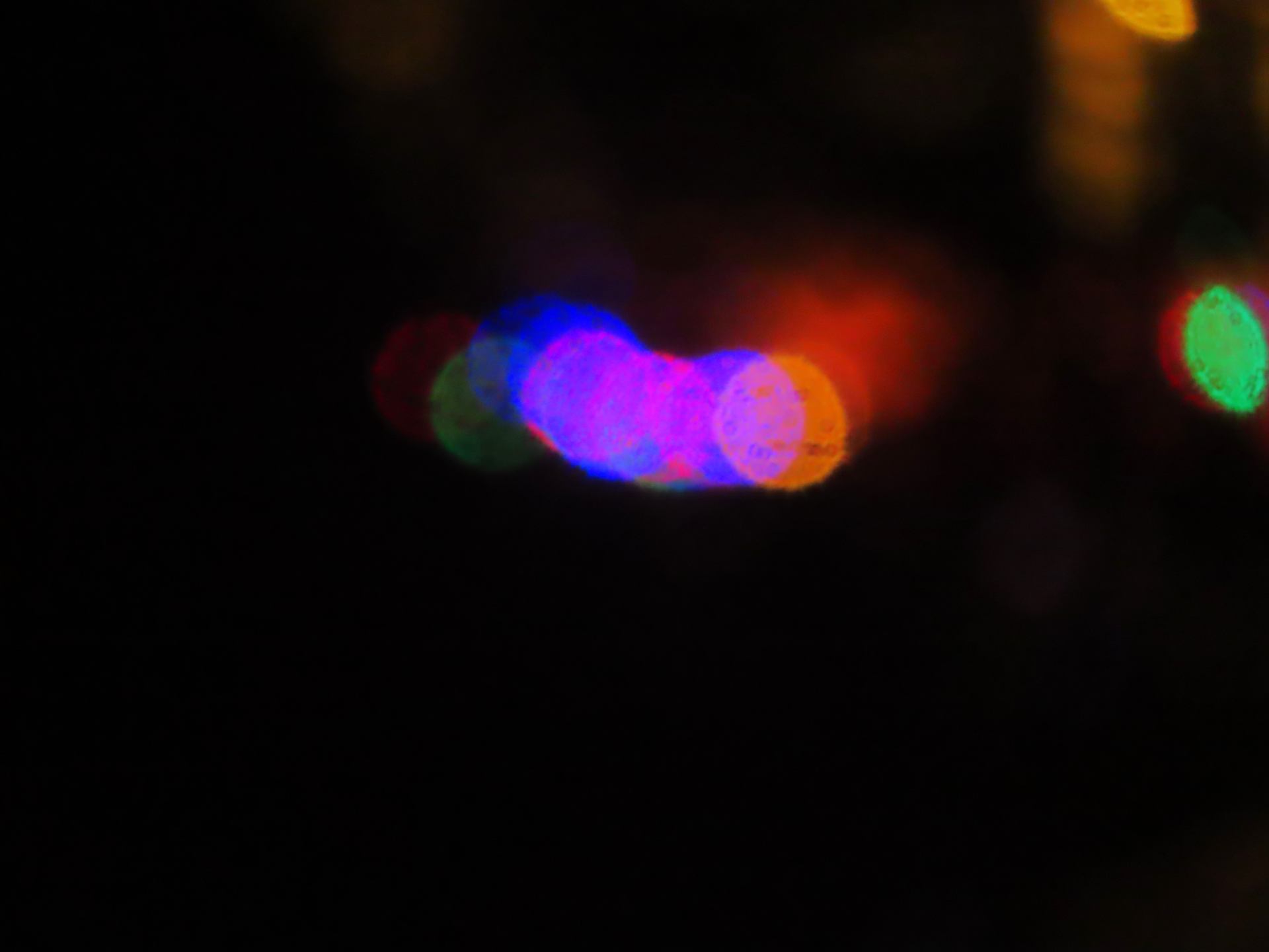 Lights in the night ...