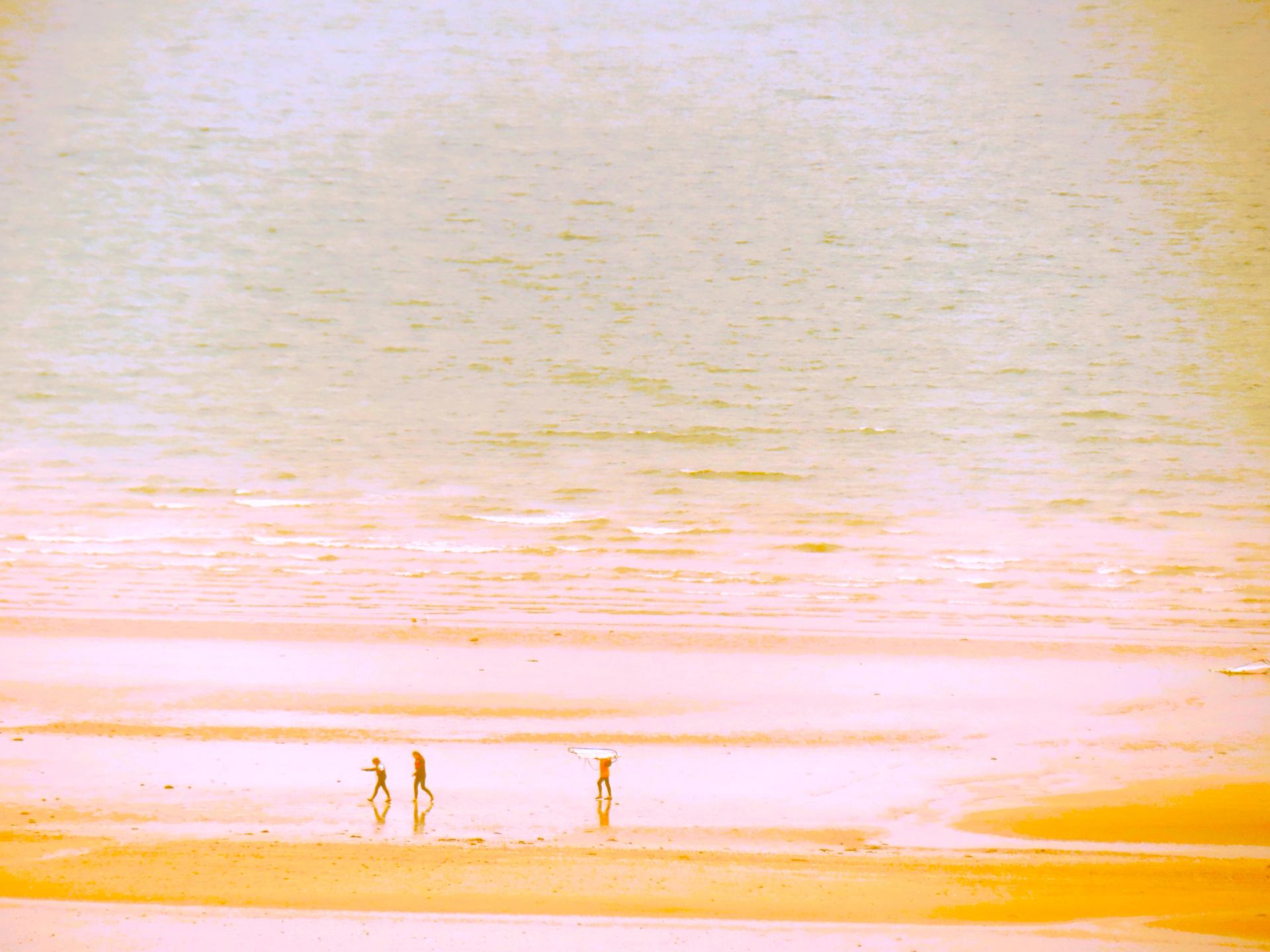 La vie en couleurs ...