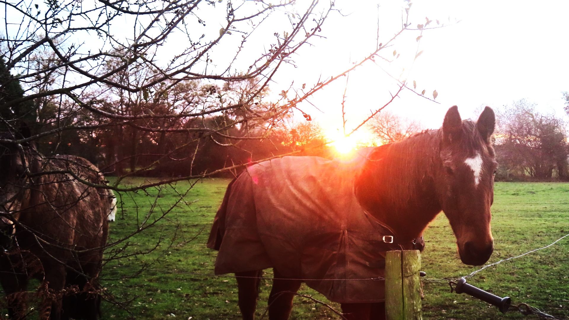 Se réchauffer le coeur ...