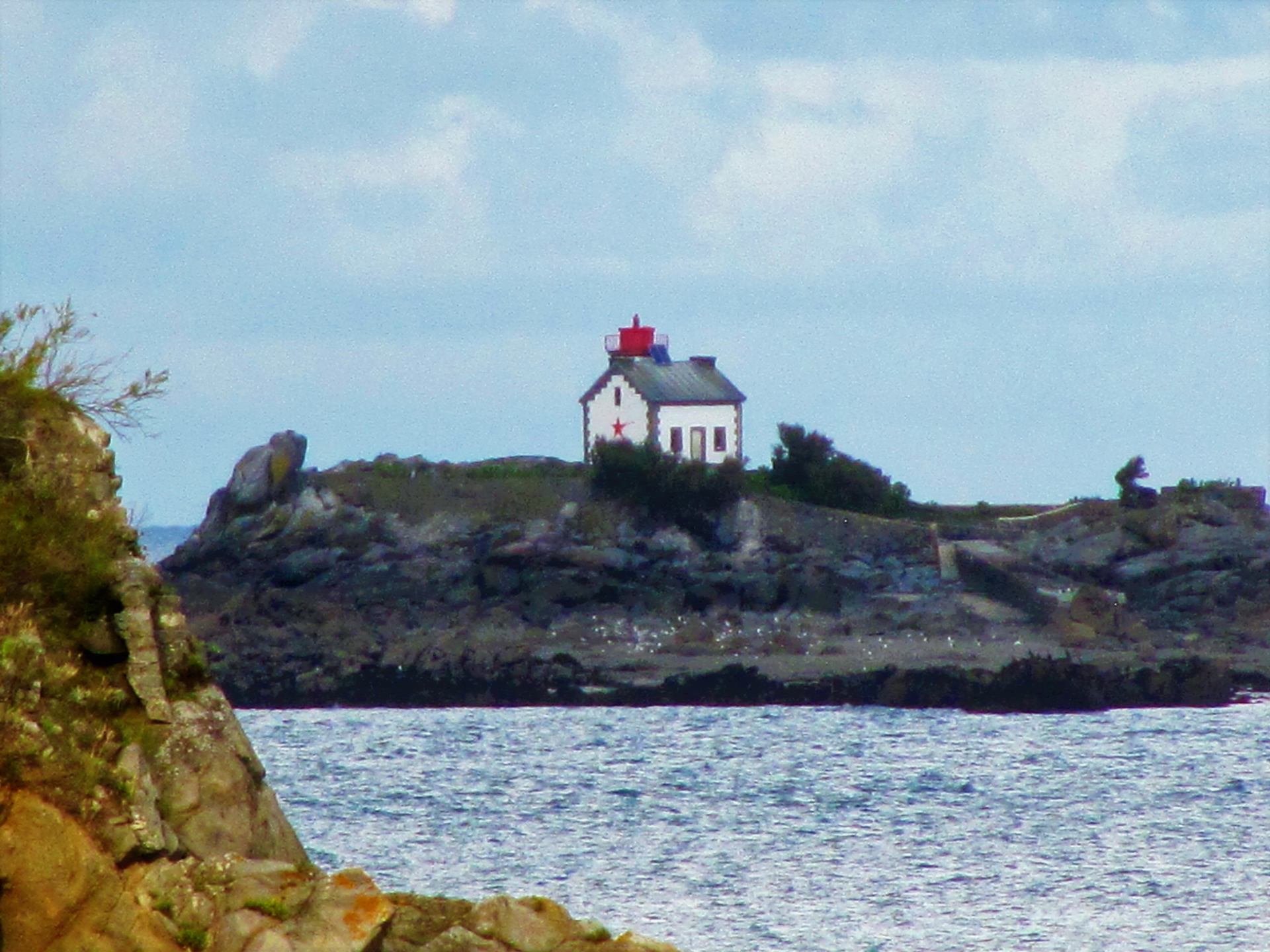 L'île aux oiseaux ...