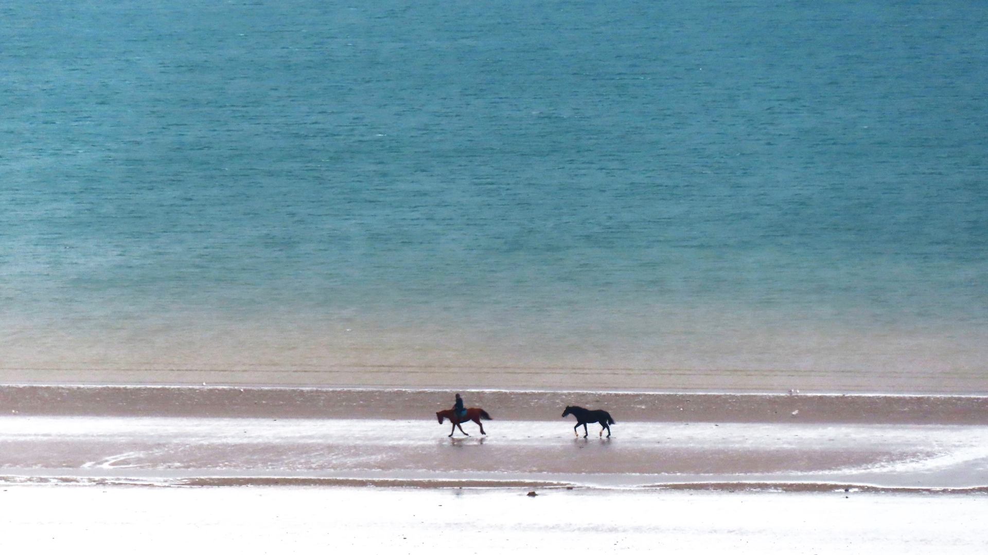 L'échappée belle ...