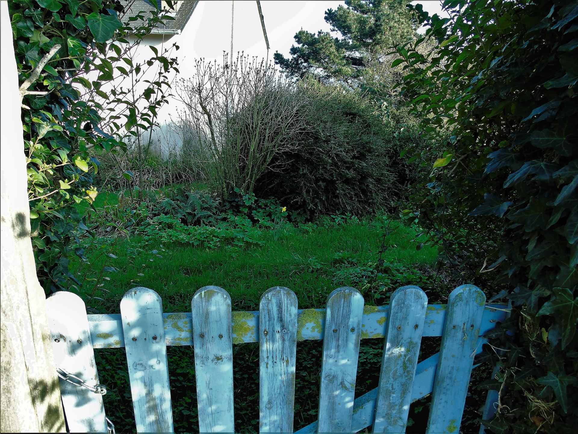 Domaine de la Jonquille ...