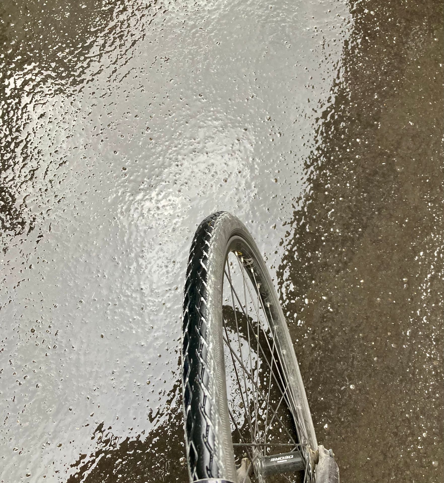 MVRR