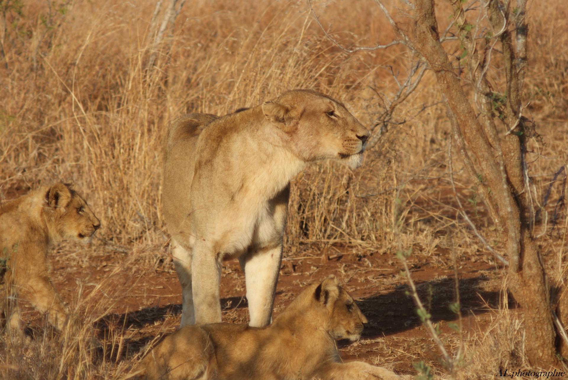 DSC01254_GF.jpg