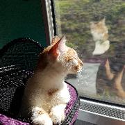 Classement final : 217