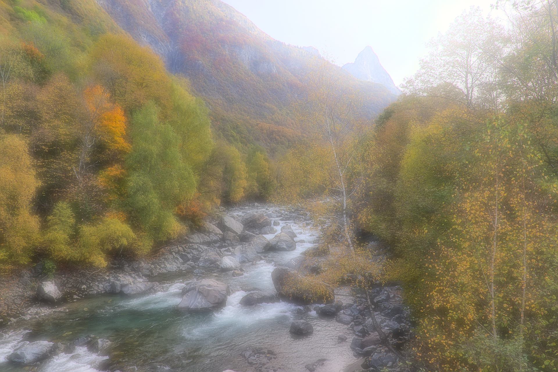 Au fil de l'automne