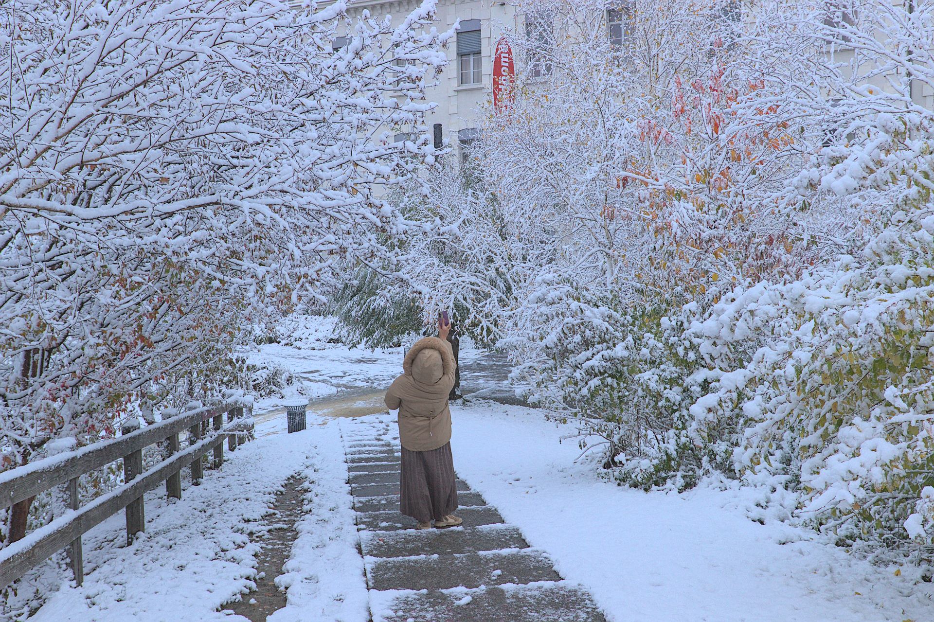La dame au smartphone