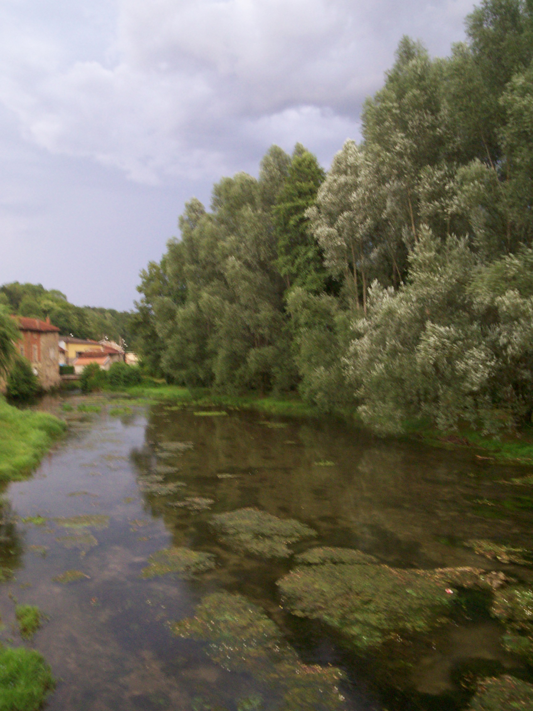 100_1105.jpg