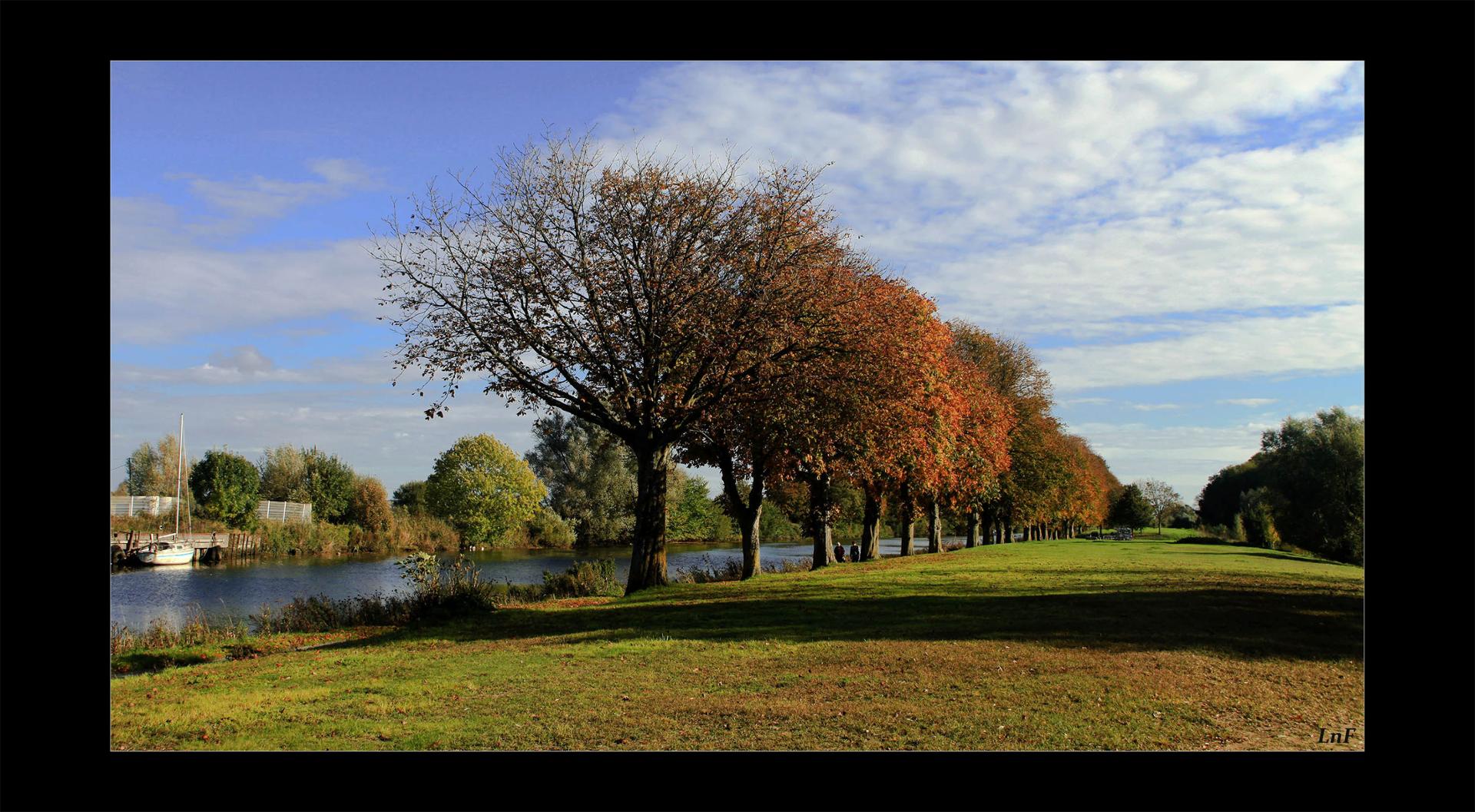 les marronniers du Canal