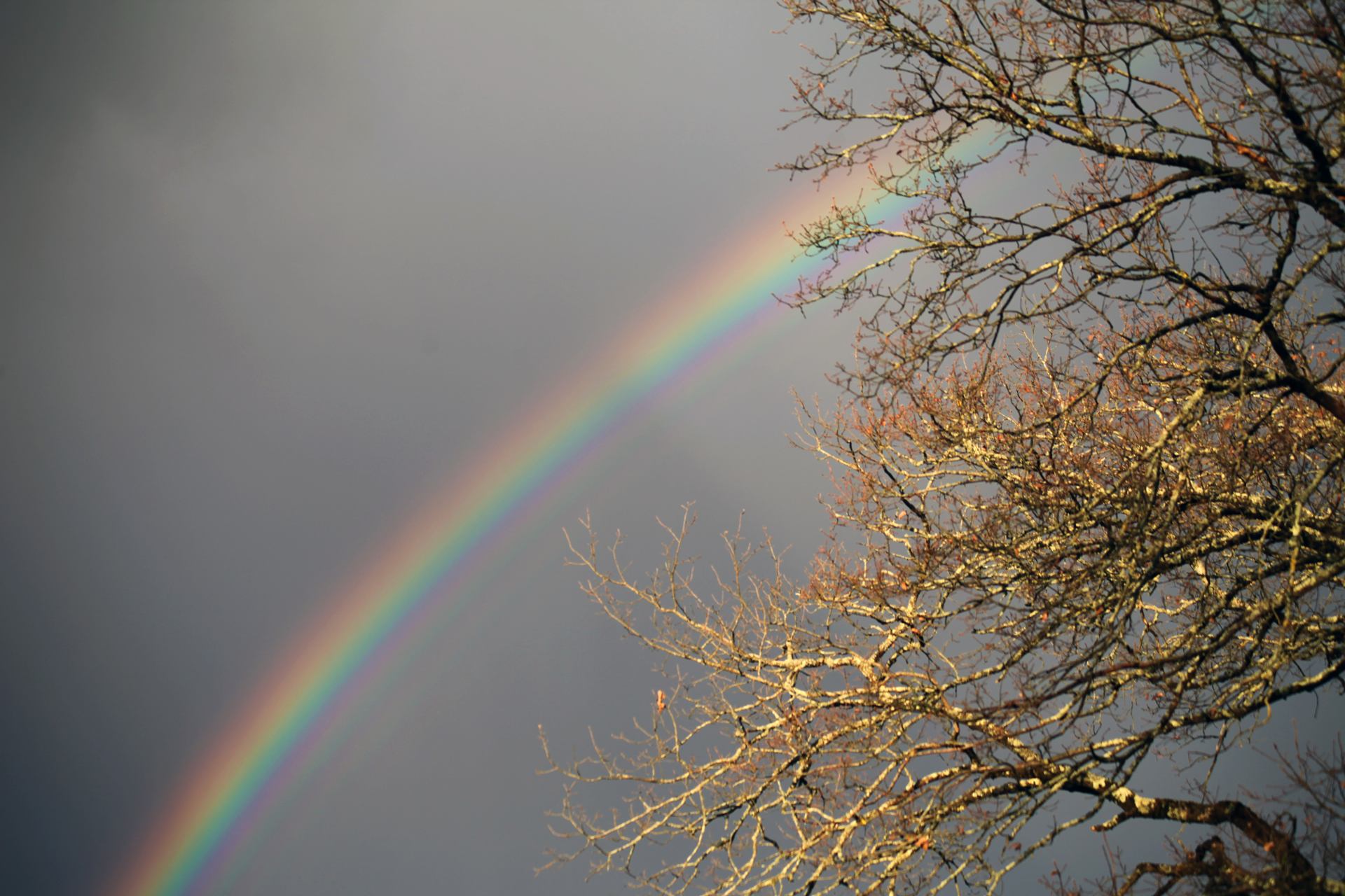 arc en ciel
