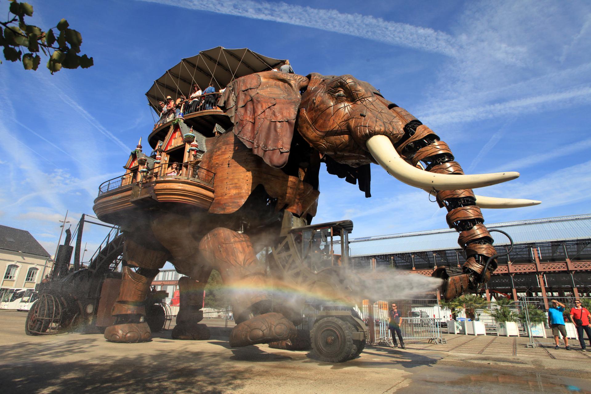 l'elephant offre une douche