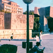 Classement final : 516