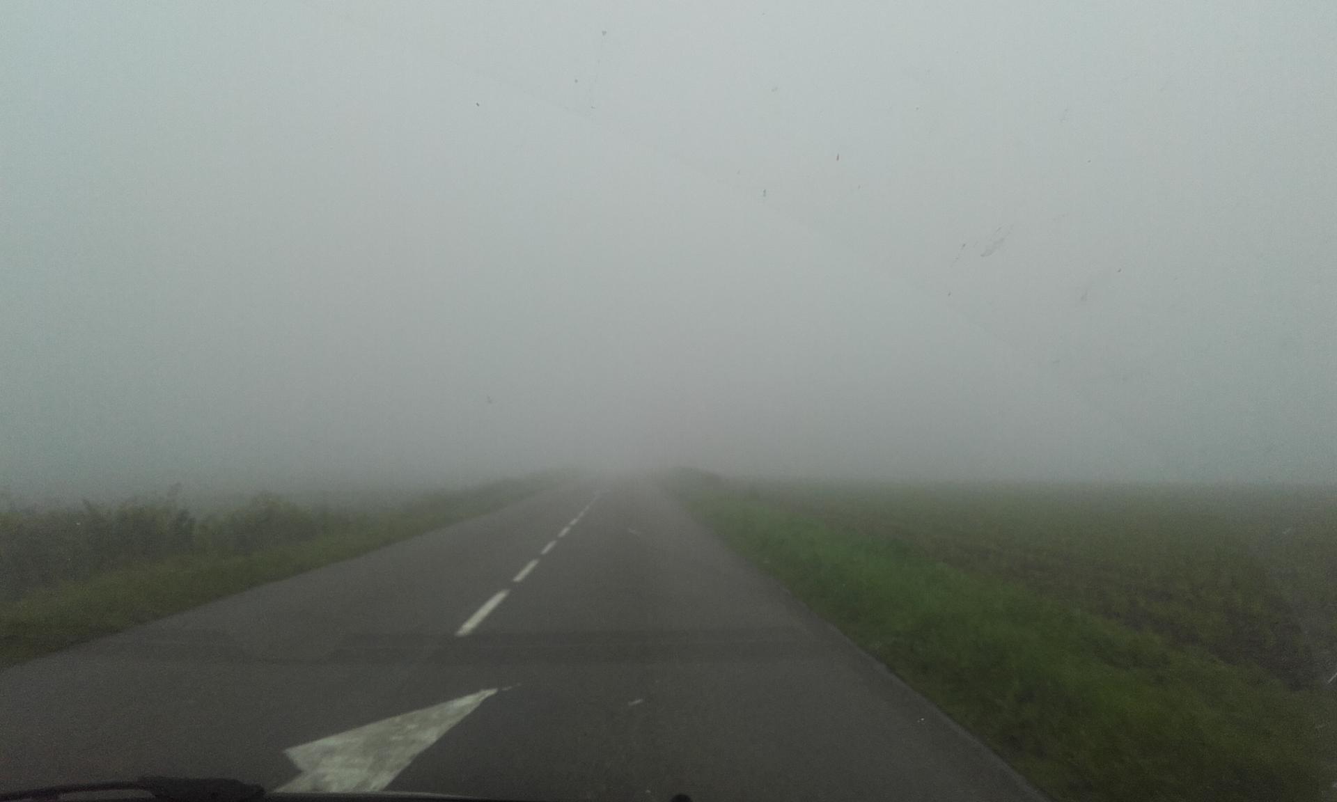 20160601_084005.jpg