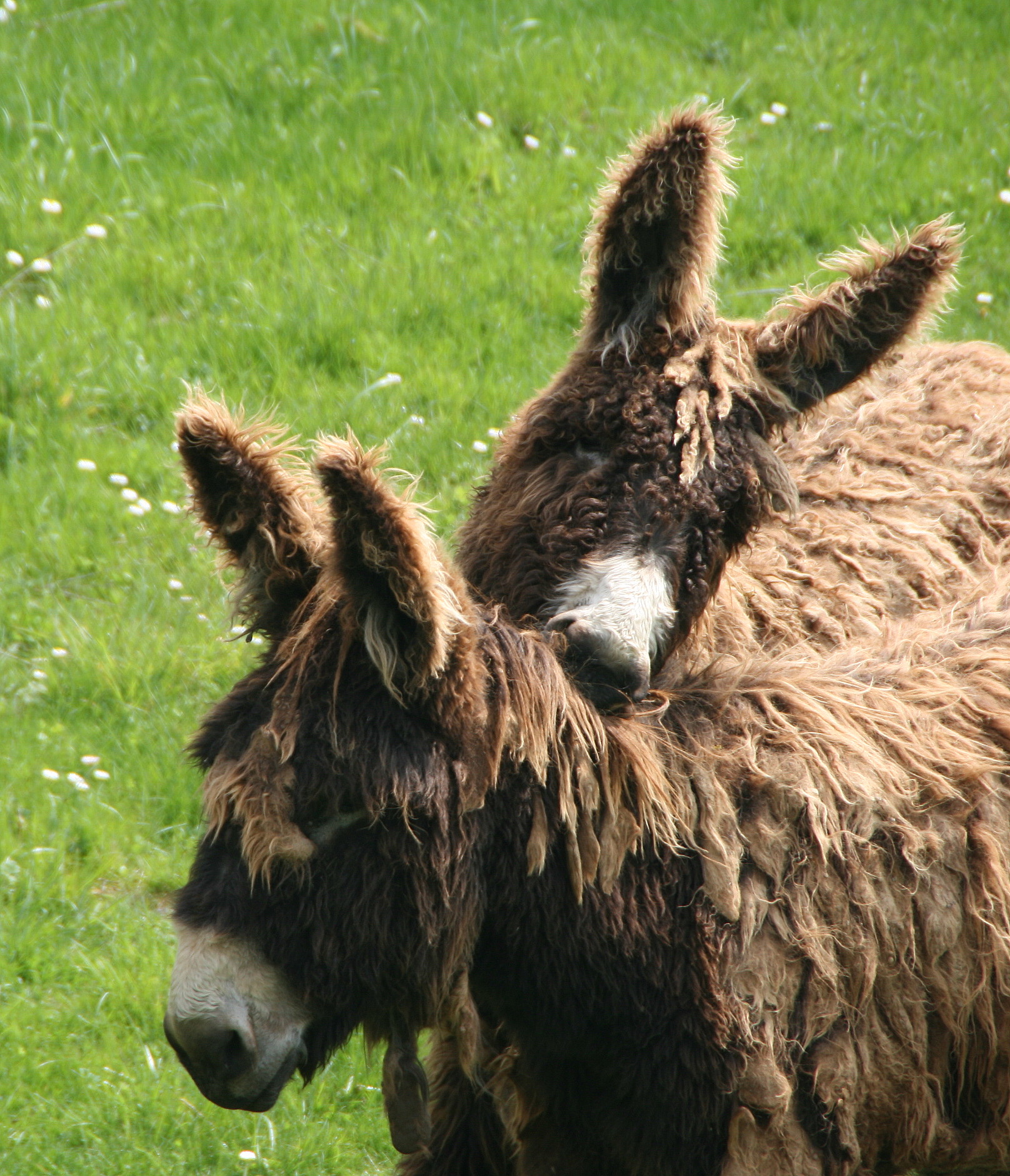 Oh ça fait du bien !!!