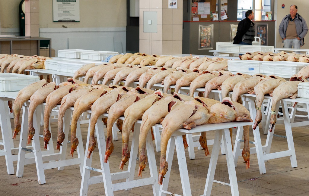 marché au gras de Gimont_.jpg