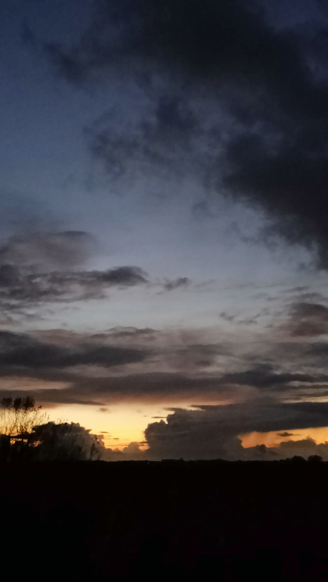 Découverte inattendue.jpg