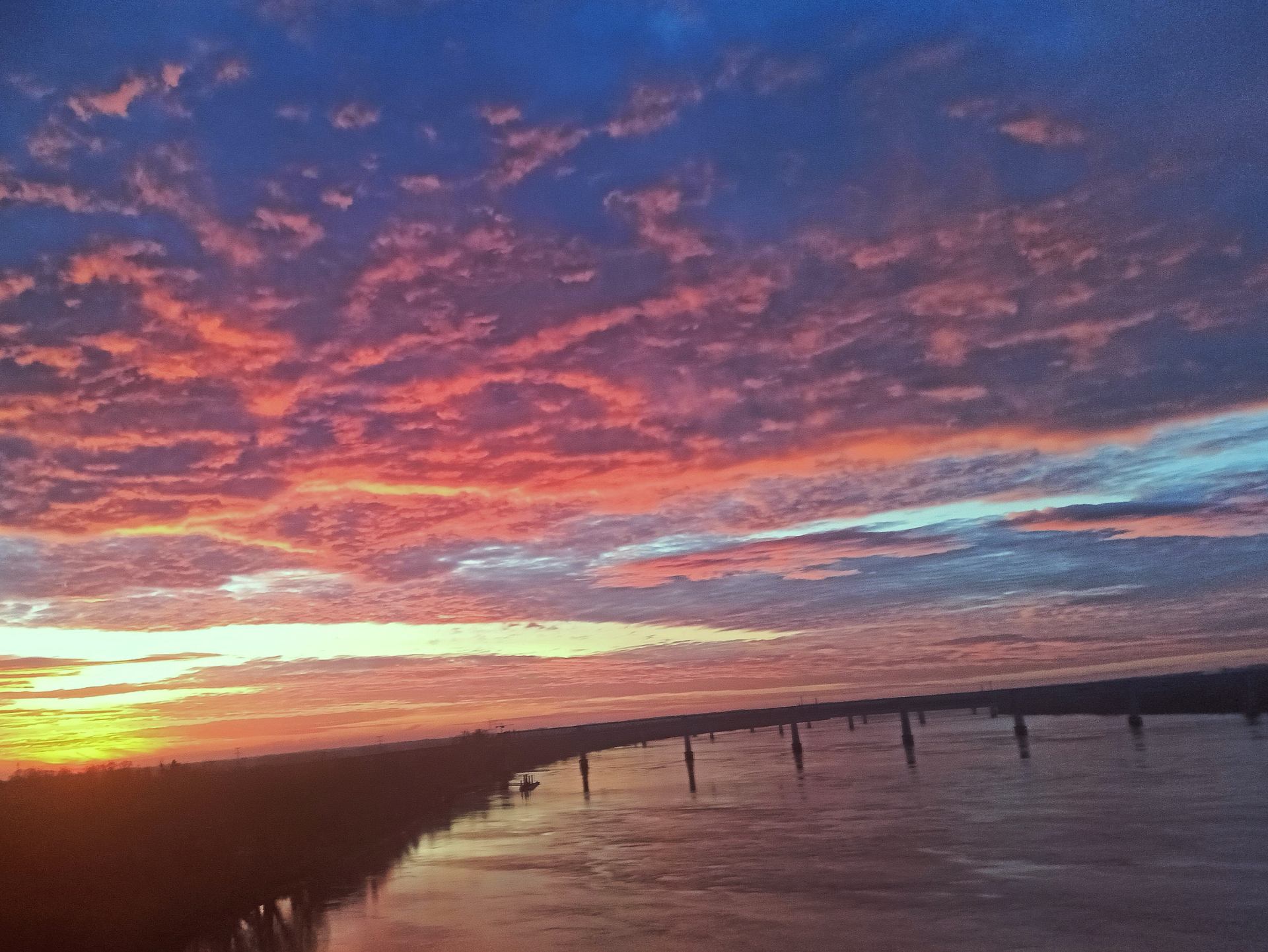 Arrêt sur image.jpg