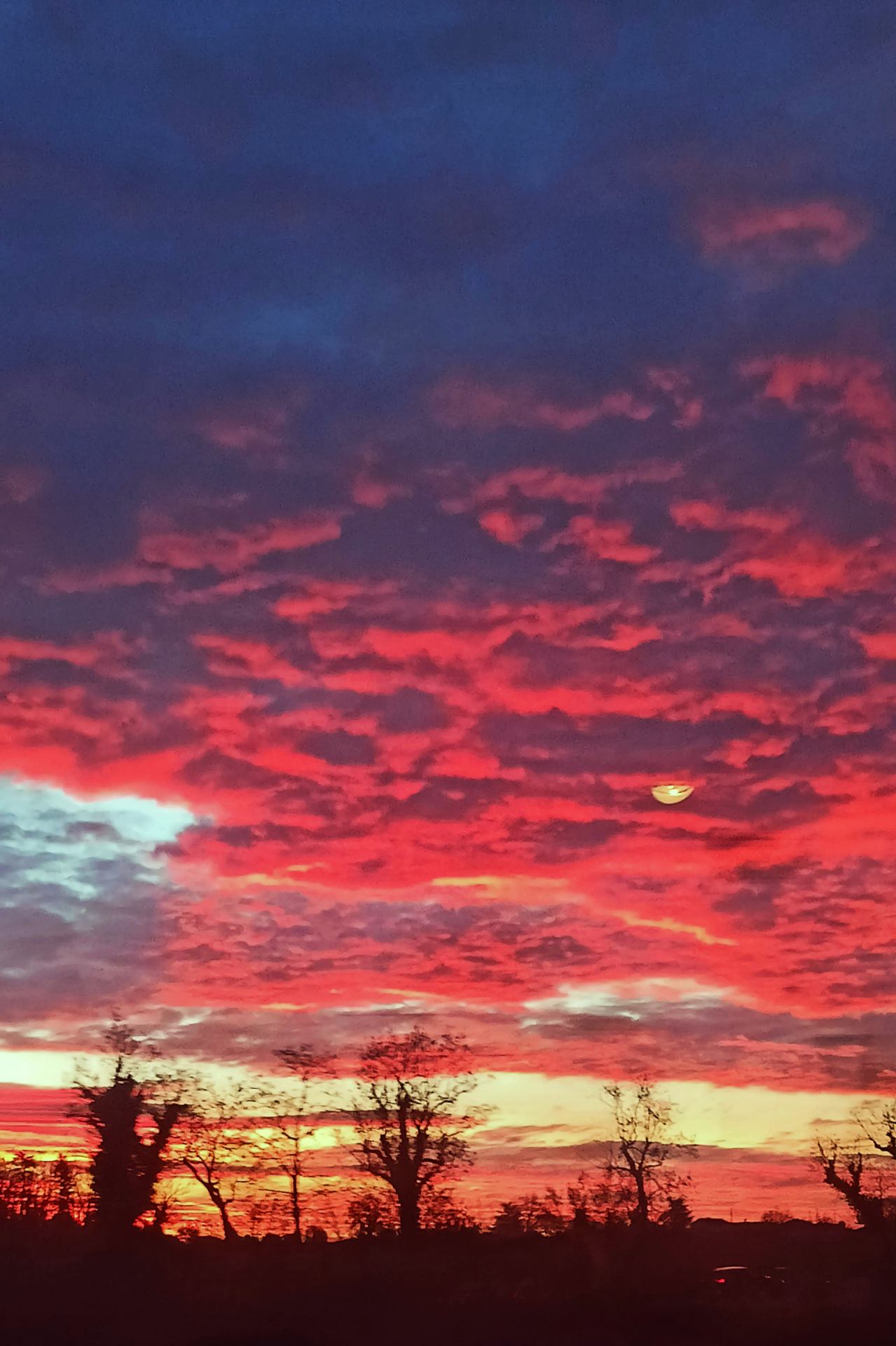 Pyrotechnie naturelle.jpg