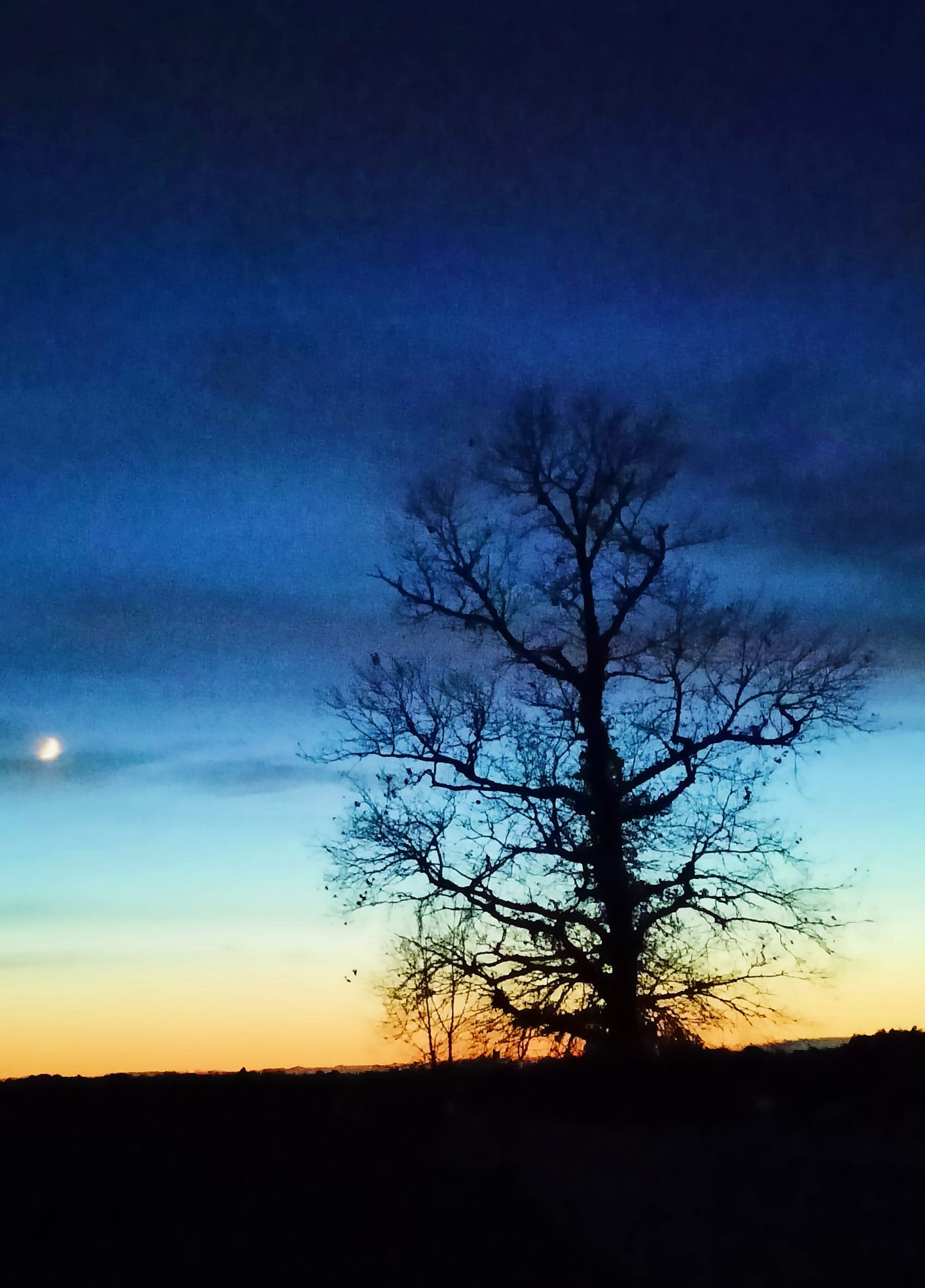 Image éloquente.jpg