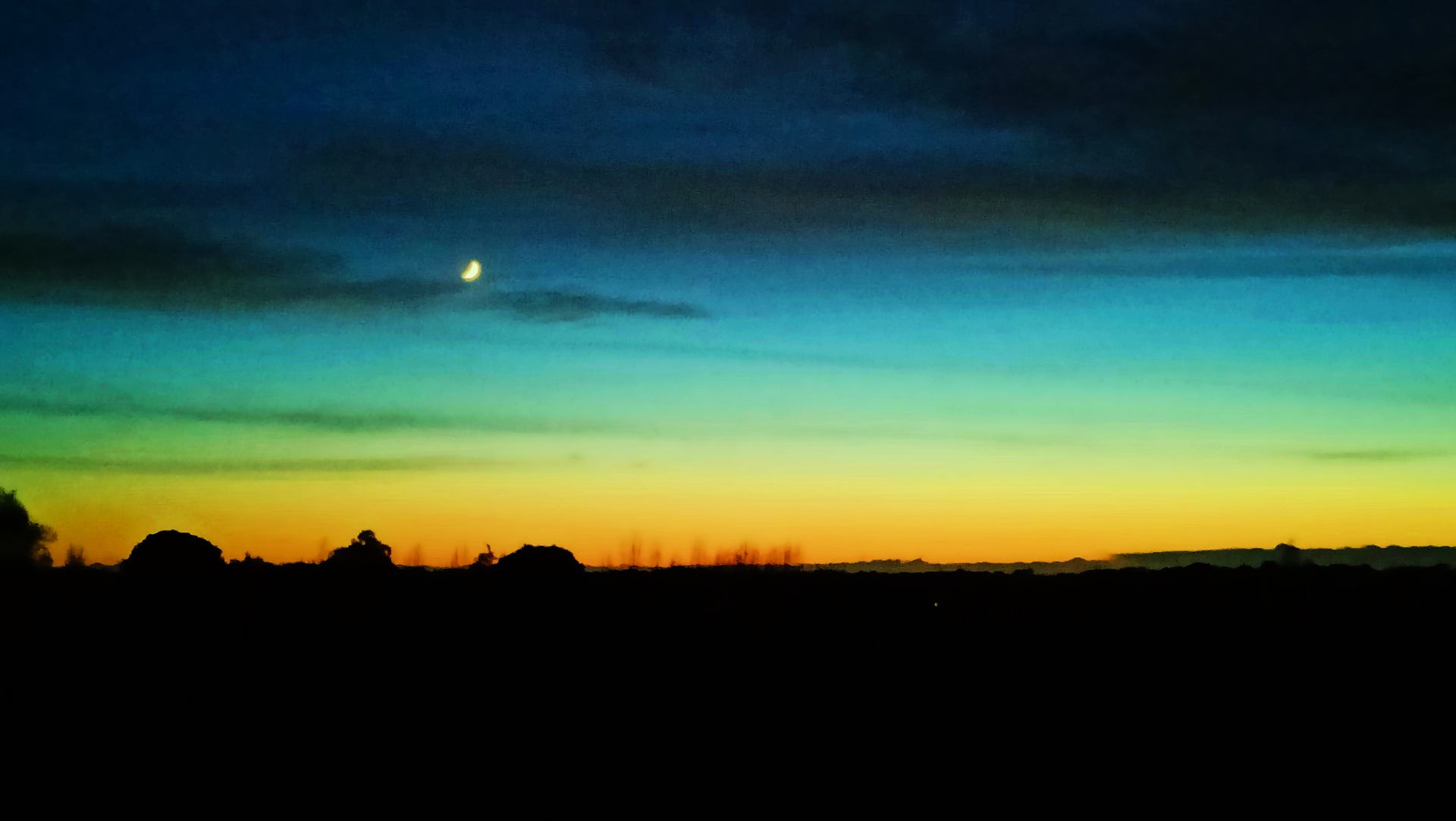 La nature s'est dénudée.jpg