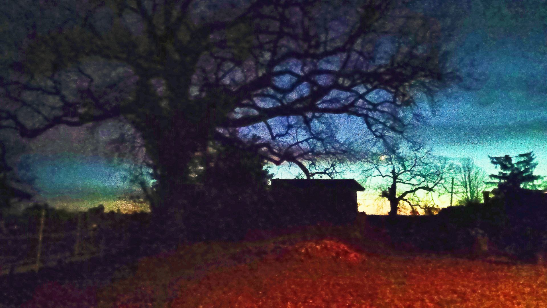 Une nature surprenante.jpg