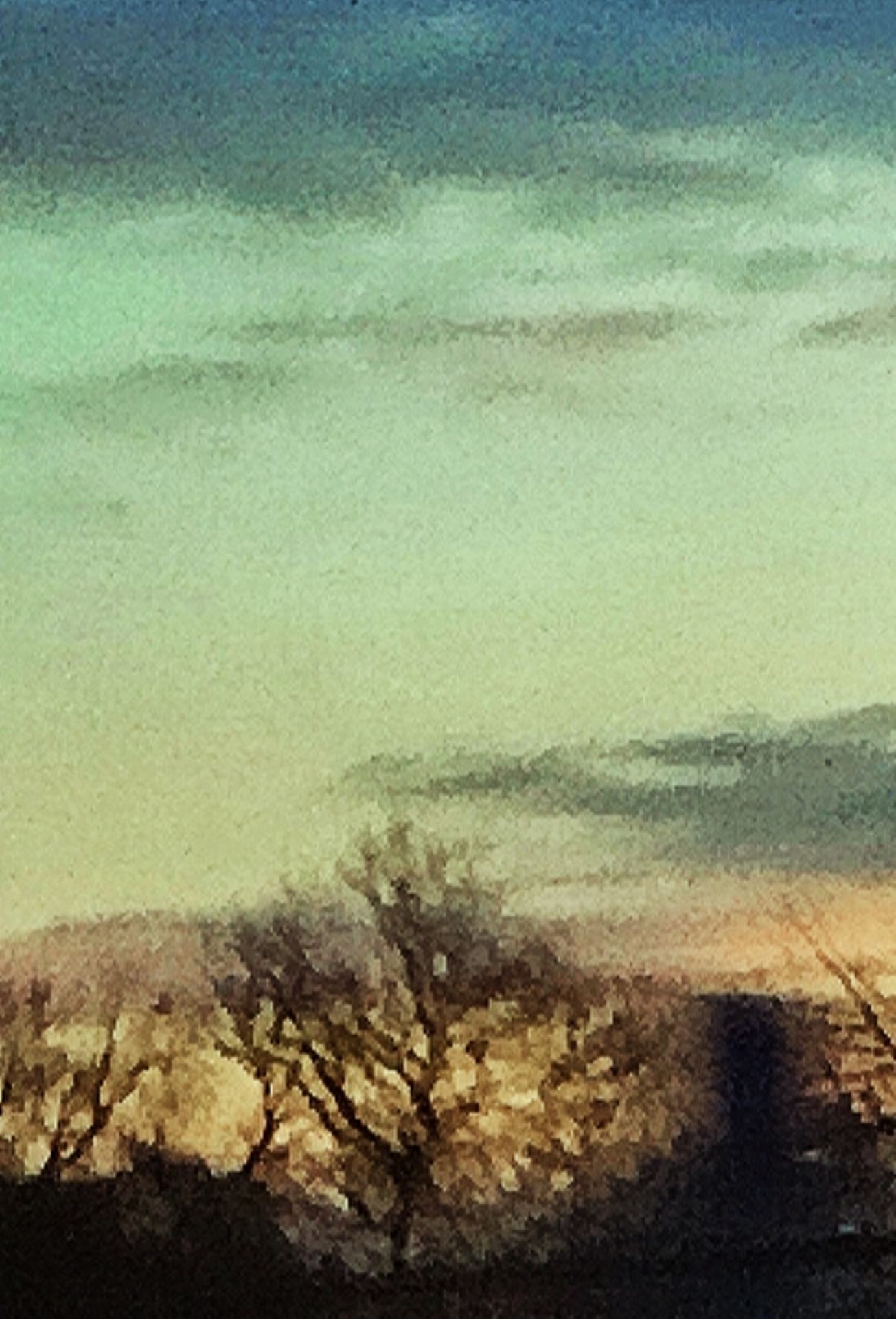 Toile réfléchissante.jpg