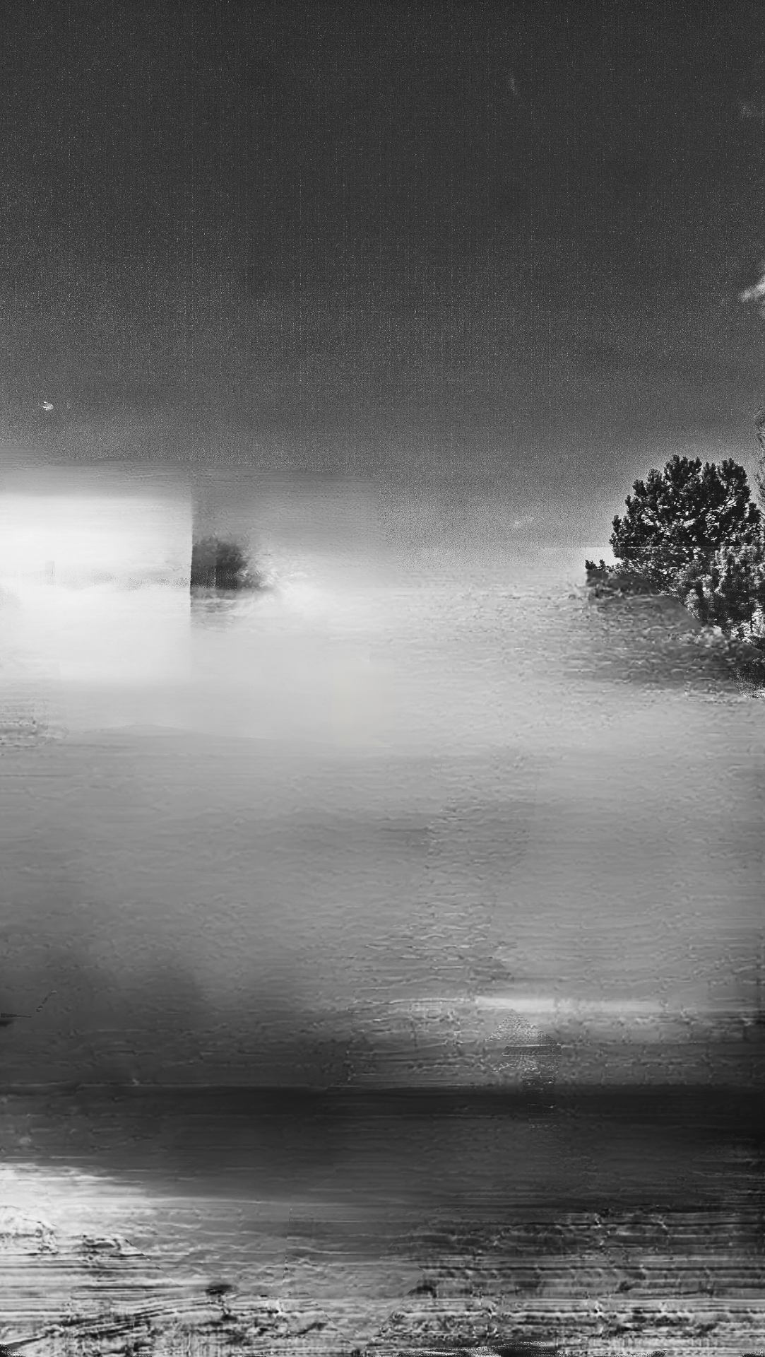 Histoire hivernale.jpg