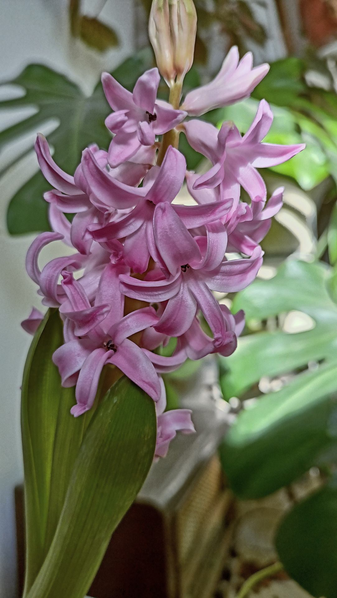 Transformation de la beauté.jpg