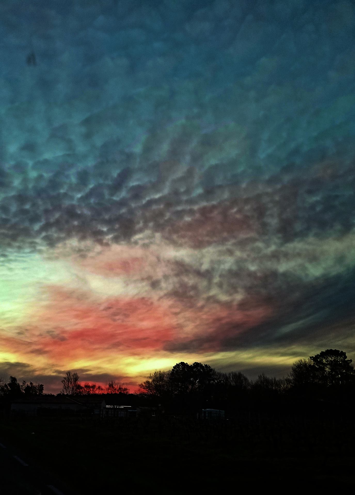 Que dire de plus.jpg