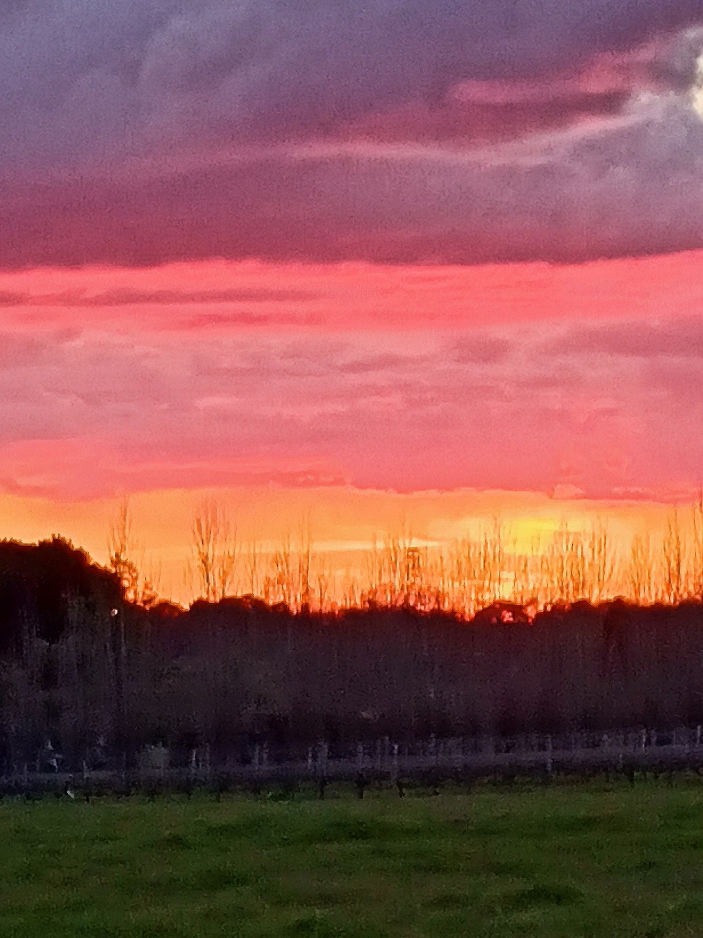 Barrière de couleurs.jpg