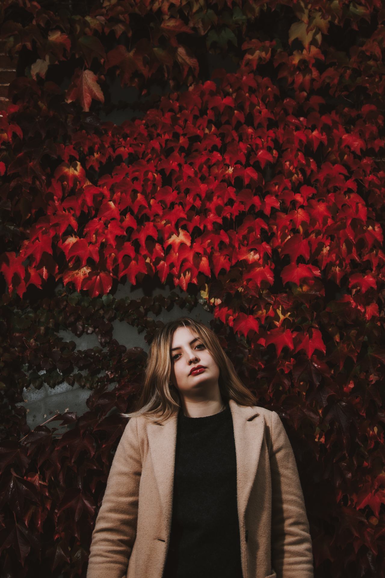 feuille rouge