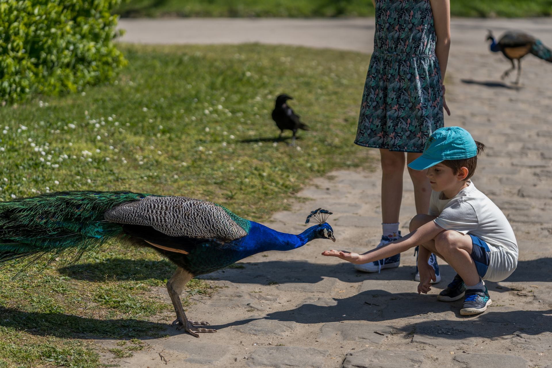 Rencontre en harmonie