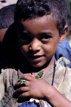 Efant à la bague Ethiopie 2003