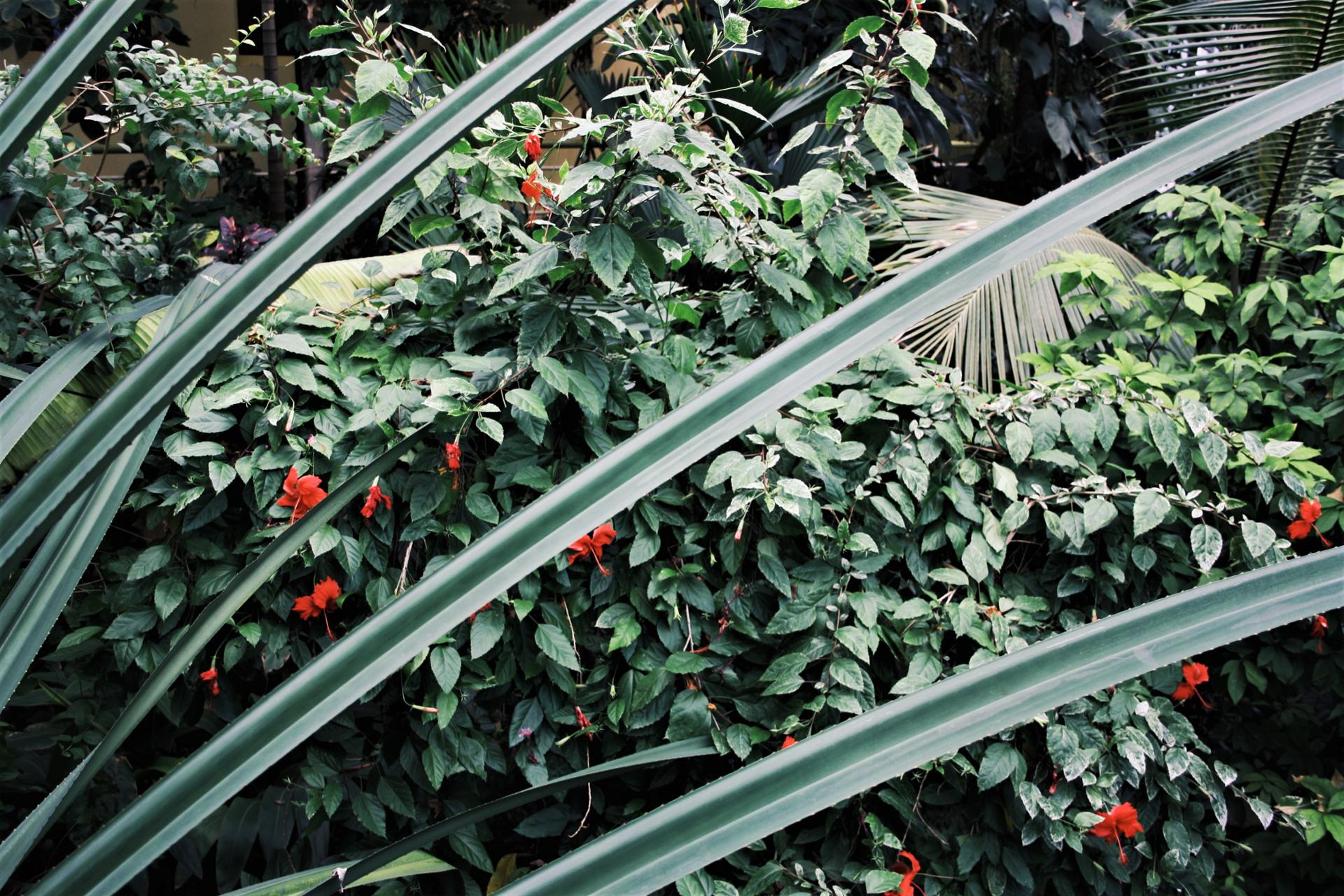 2018-05-27 11.13.52 2.jpg