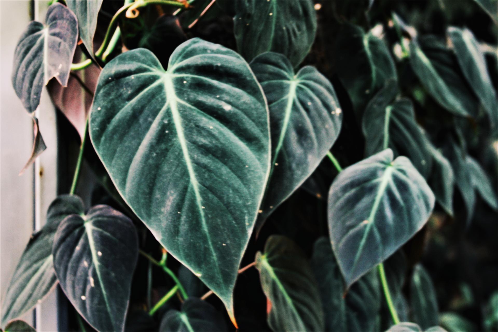 2018-05-27 11.13.56 2.jpg