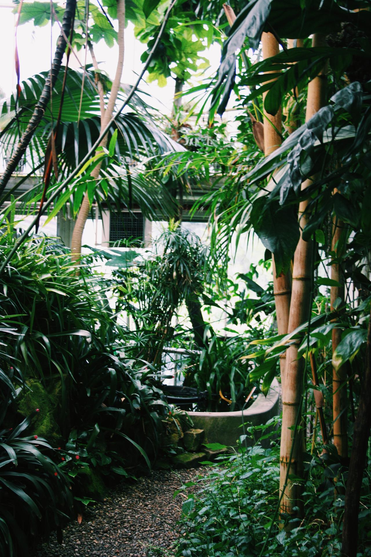 2018-05-27 11.14.00 2.jpg