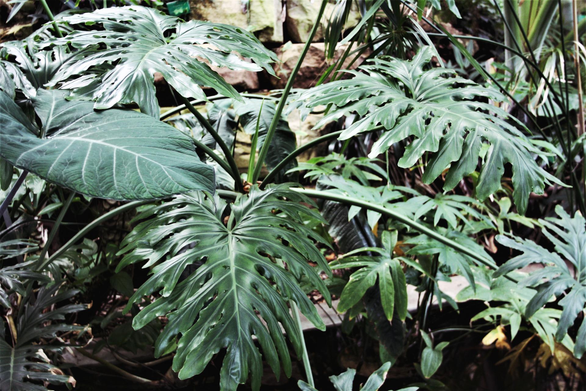 2018-05-27 11.14.07 2.jpg