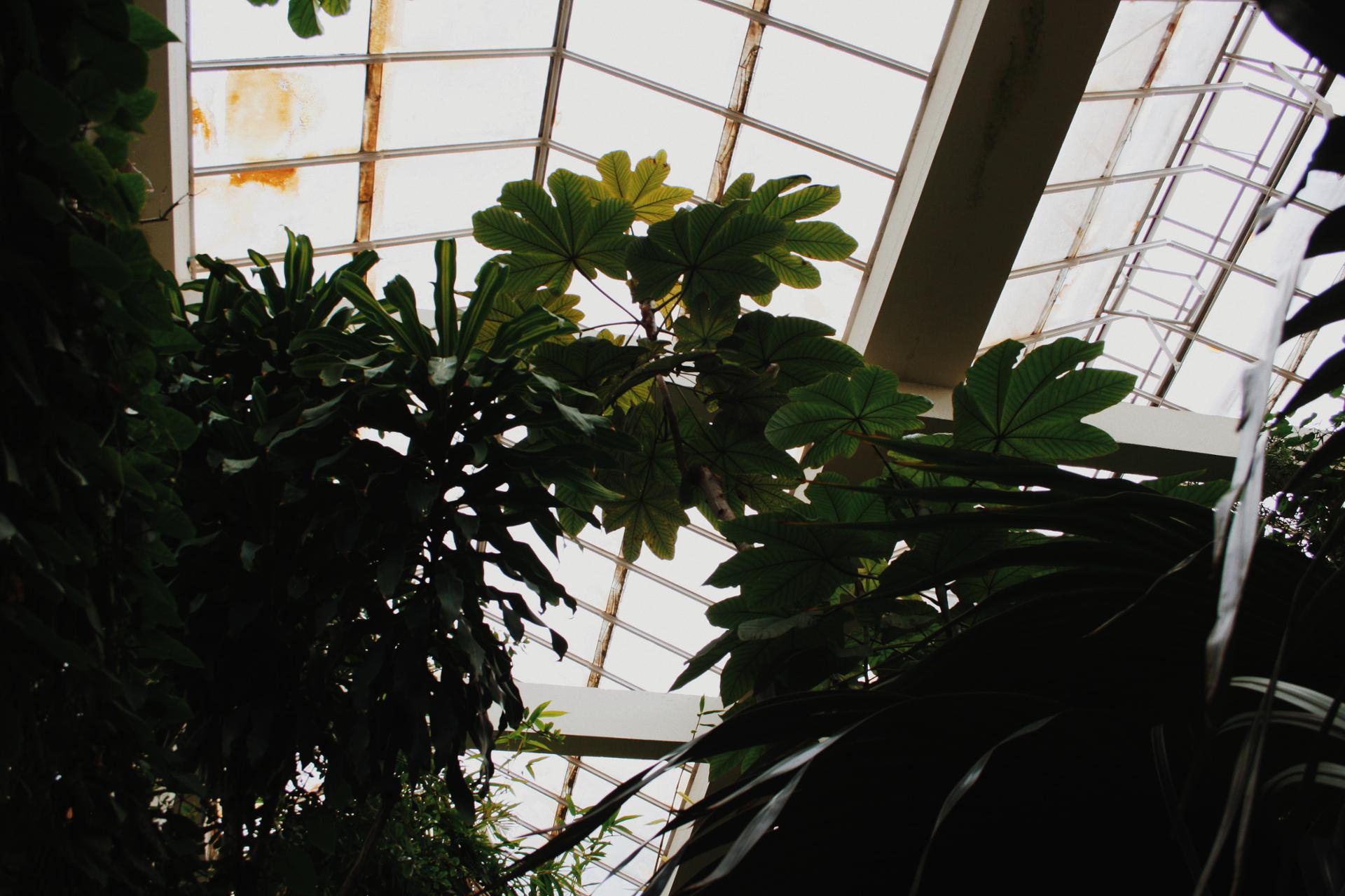 2018-05-27 11.14.09 2.jpg