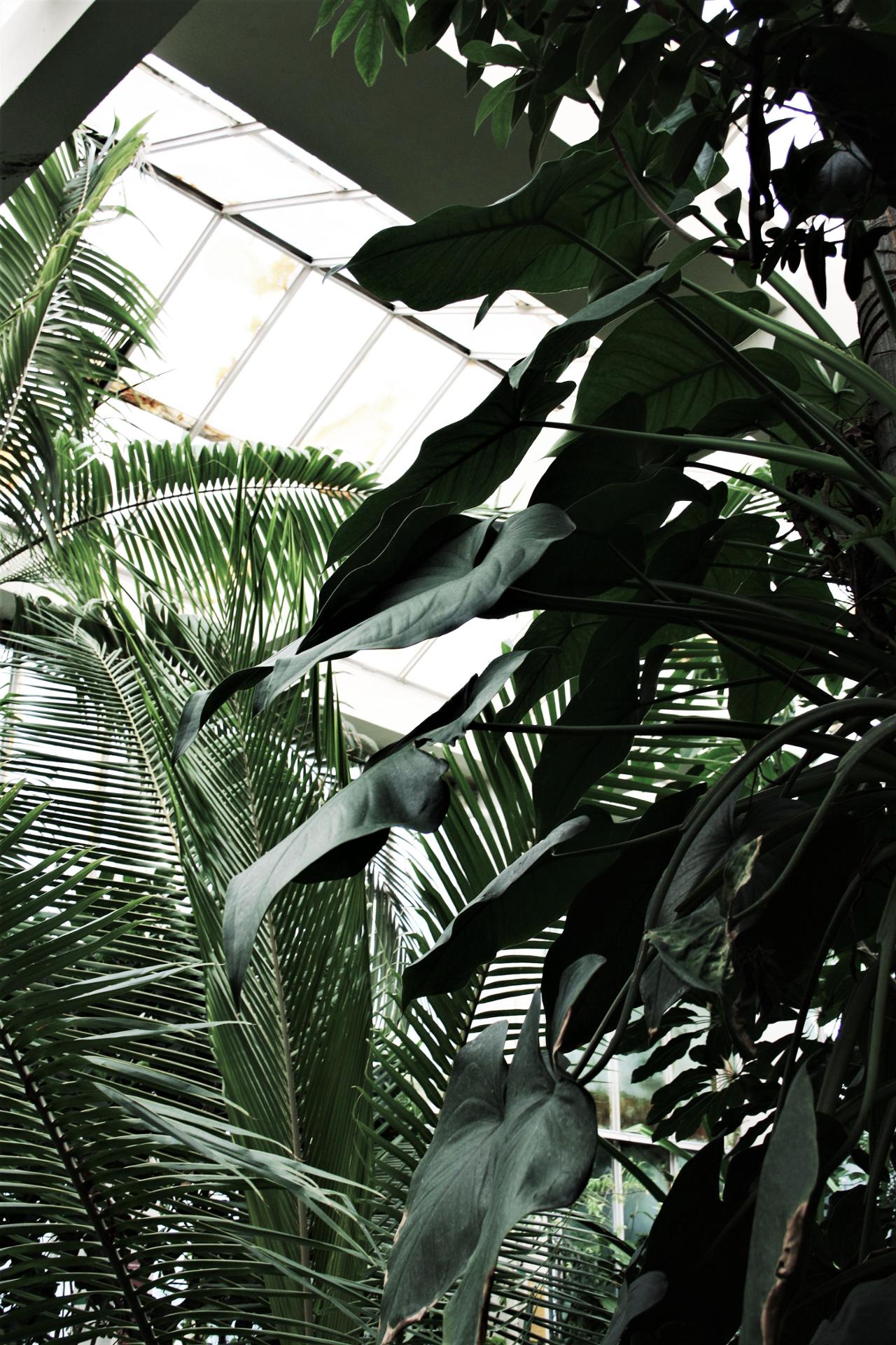 2018-05-27 11.14.27 1.jpg