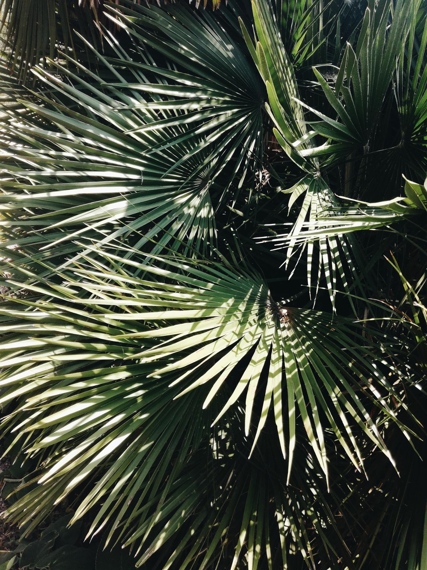 2018-08-01 07.21.01 1.jpg