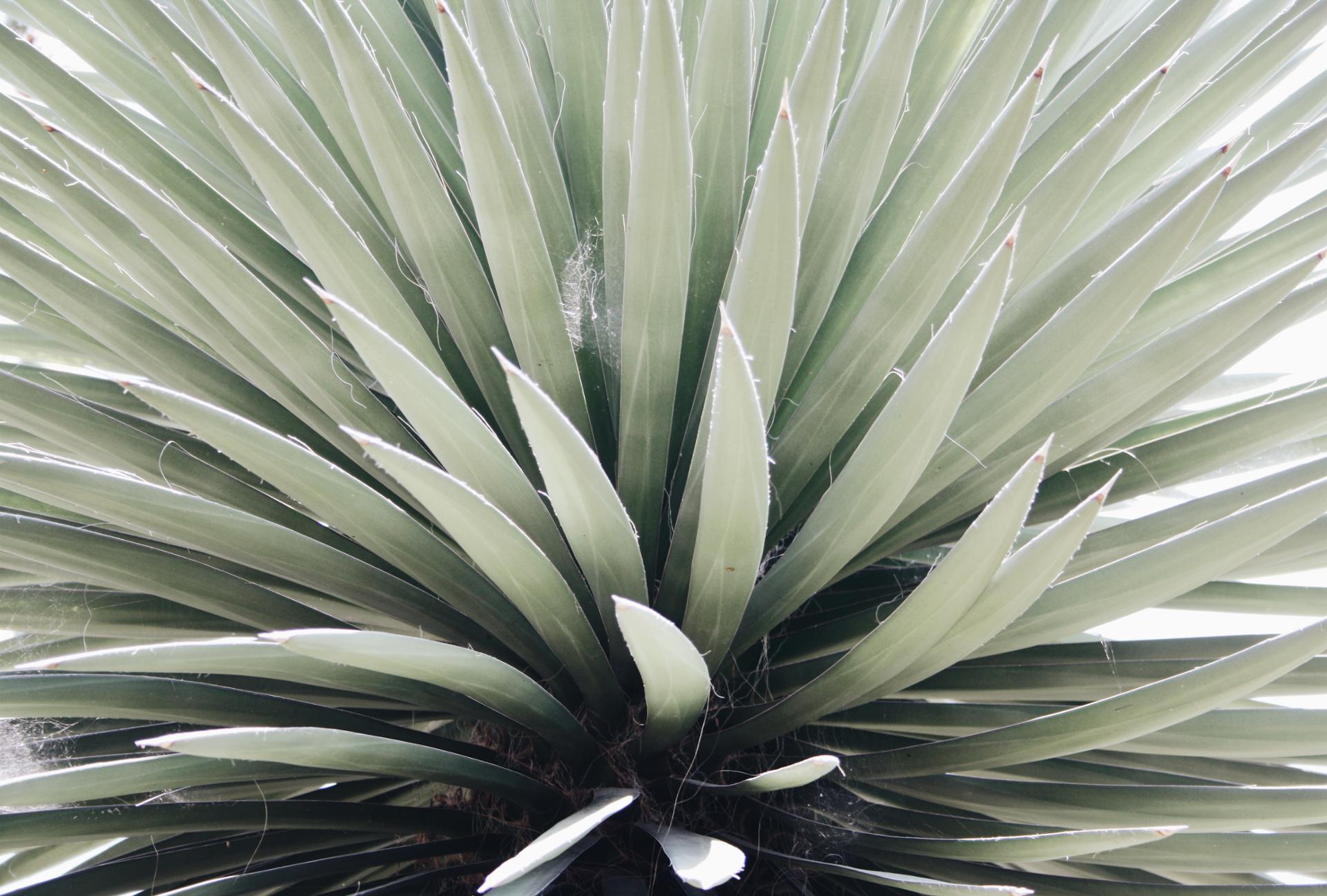 2018-09-13 10.22.52 2.jpg