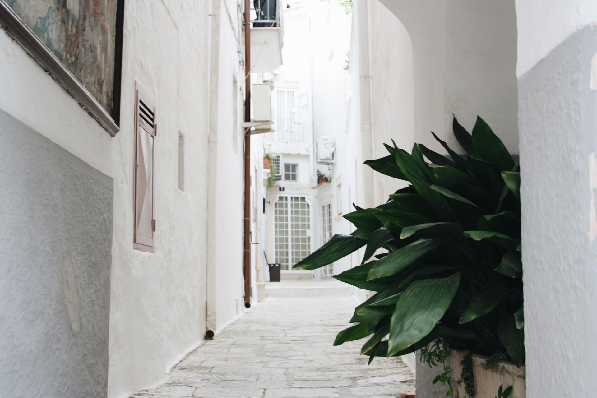 2018-07-24 09.58.37 1.jpg