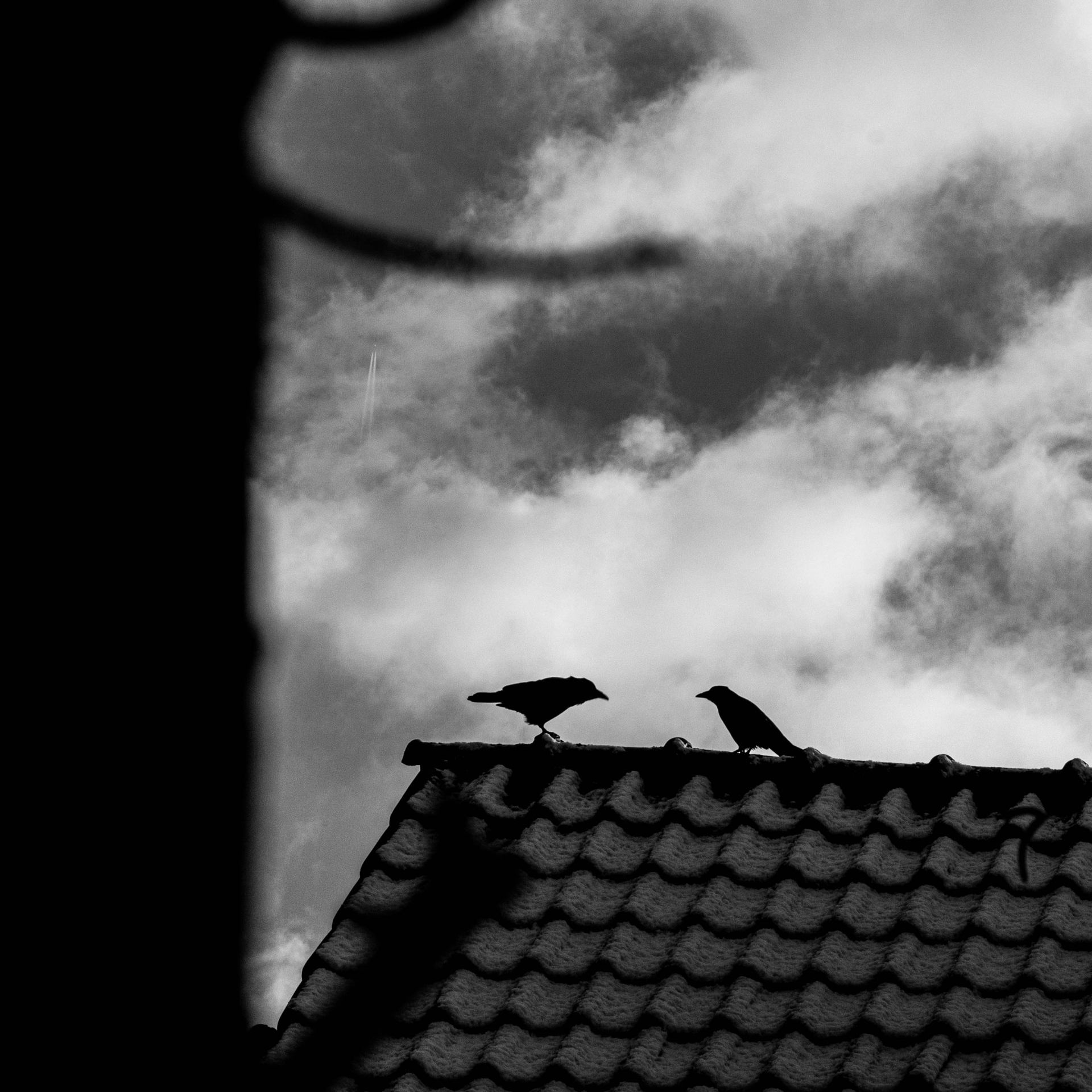 Conversation au sommet