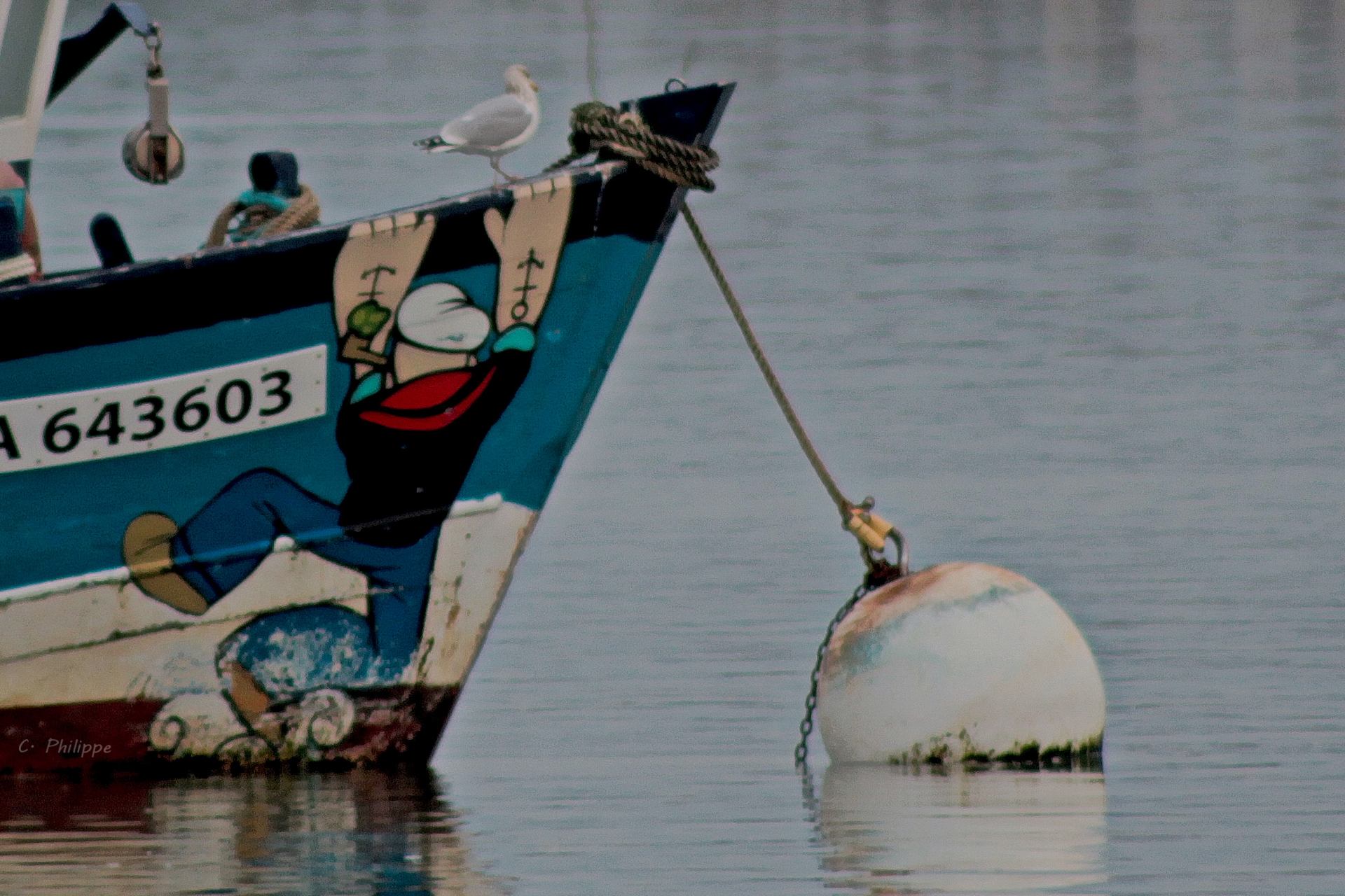un homme à la mer