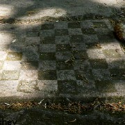 Classement final : 2953