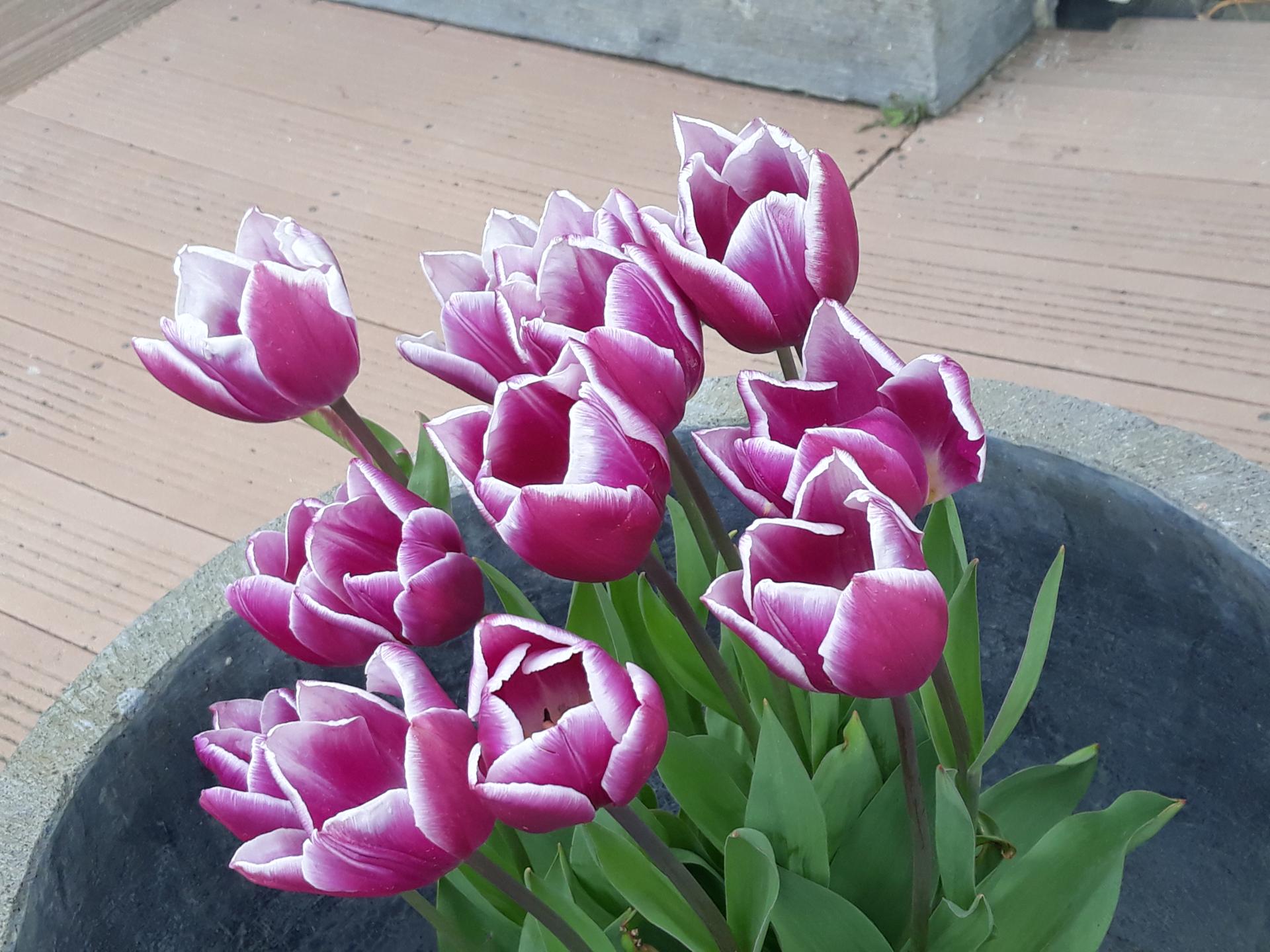 20180402_172408.jpg