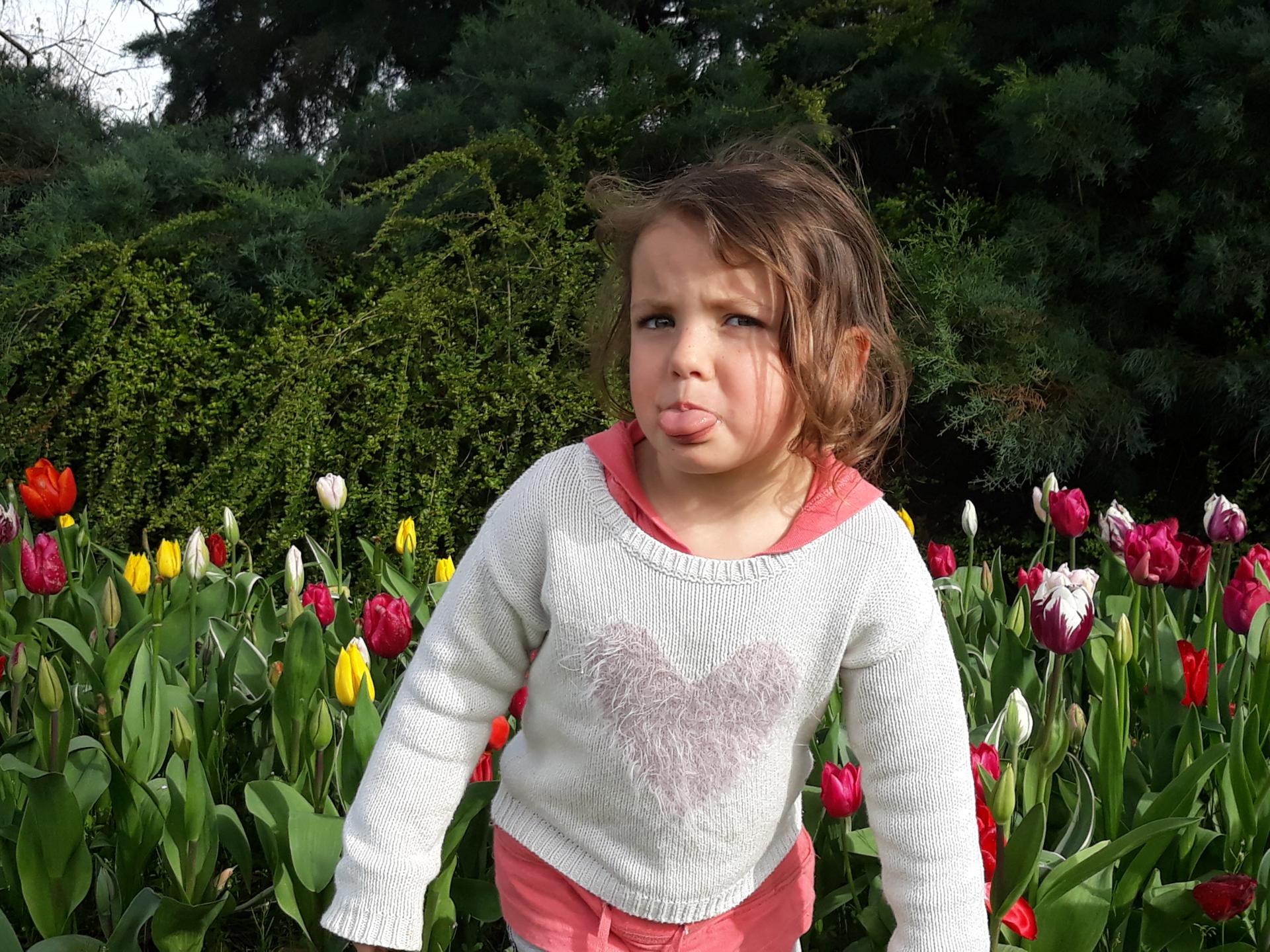 20180402_172114.jpg
