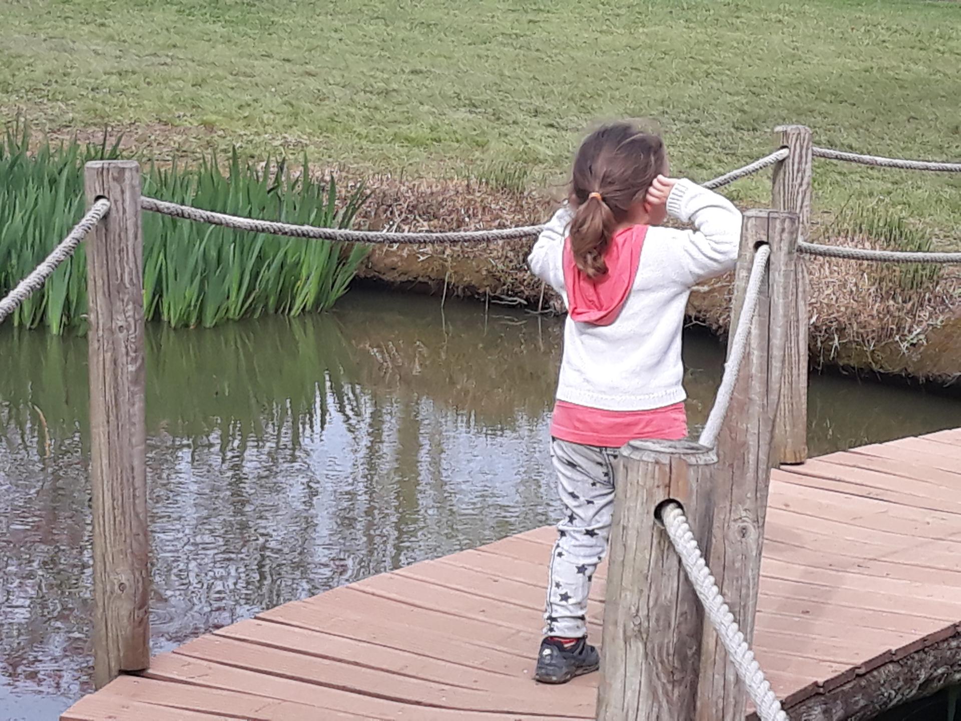 20180402_171346.jpg